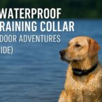 Golden Retriever wearing waterproof dog training collar in lake – 2025 outdoor gear guide