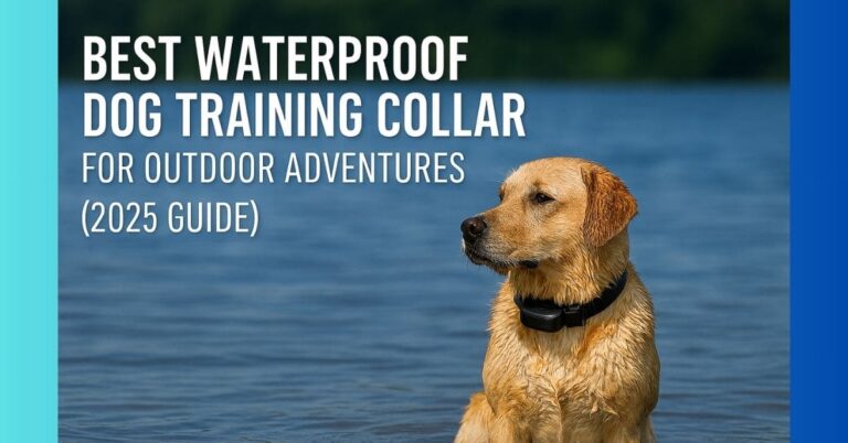 Golden Retriever wearing waterproof dog training collar in lake – 2025 outdoor gear guide